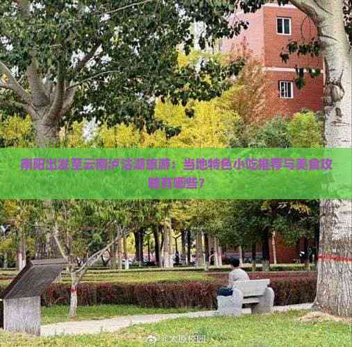 南阳出发至云南泸沽湖旅游：当地特色小吃推荐与美食攻略有哪些？